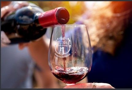 Israel Winery Tours